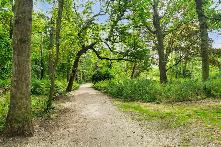 Bekijk foto 38 van Duinwijklaan 19