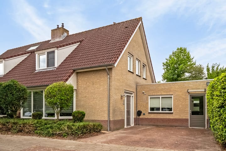 undefined main image