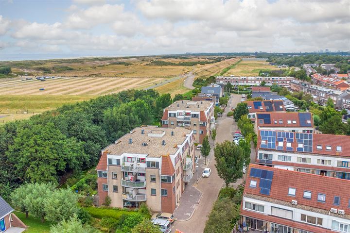 Bekijk foto 18 van Zeekoet 40