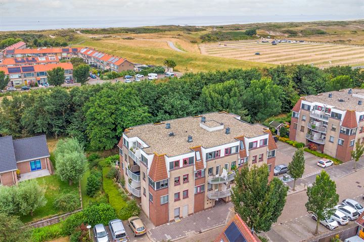 Bekijk foto 19 van Zeekoet 40