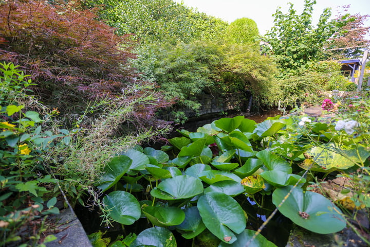 Bekijk foto 31 van Oude Kerkweg 30