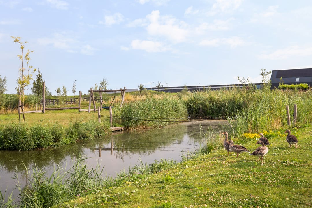 Foto 56 van Arie Kempkesweg 76