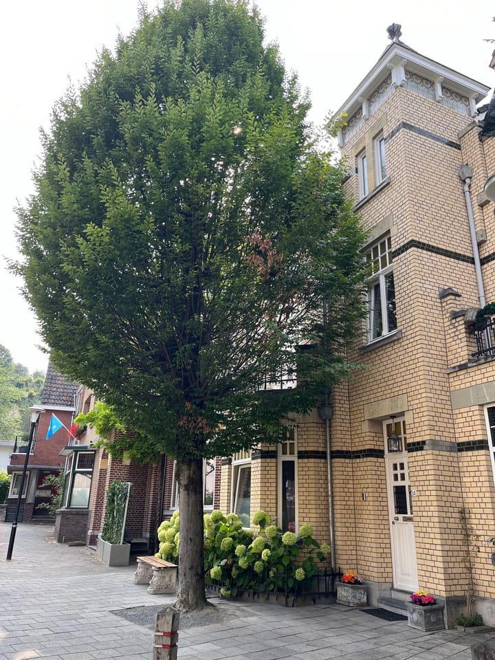 Foto 3 van Emmalaan 13