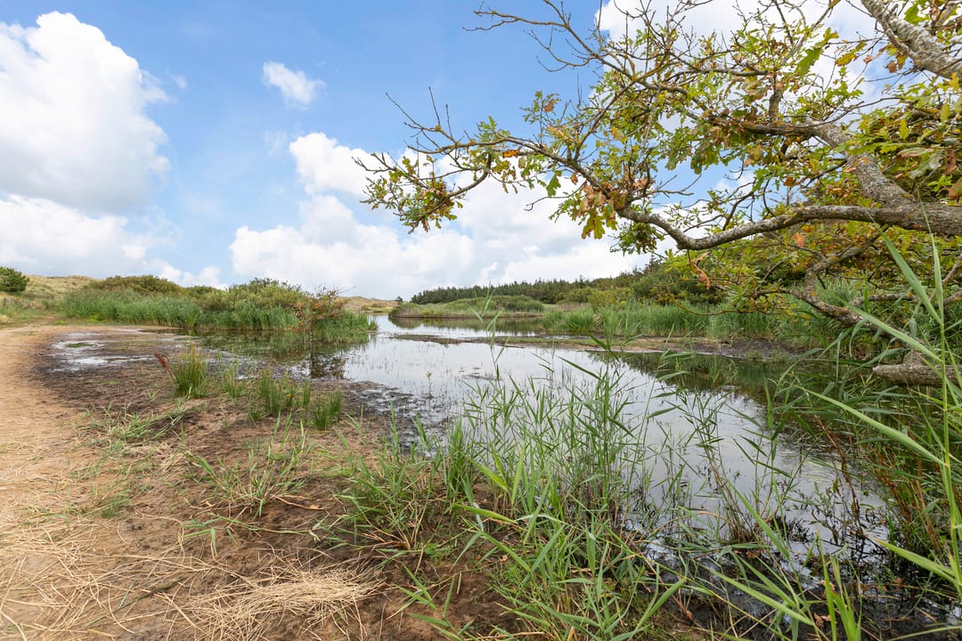 Foto 97 van Westerduinweg 8A, 8B en 10