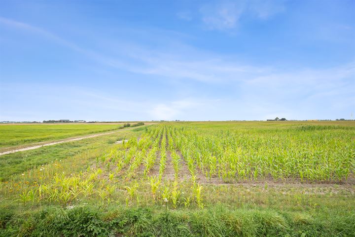 Bekijk foto 23 van Stougjesdijk 77