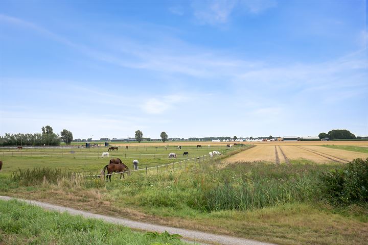 View photo 47 of Stougjesdijk 77