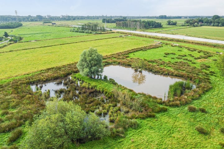 Bekijk foto 53 van Maria Rutgersweg 126