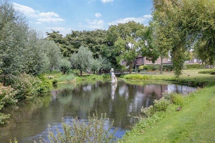 Bekijk foto 35 van Mendeldreef 48