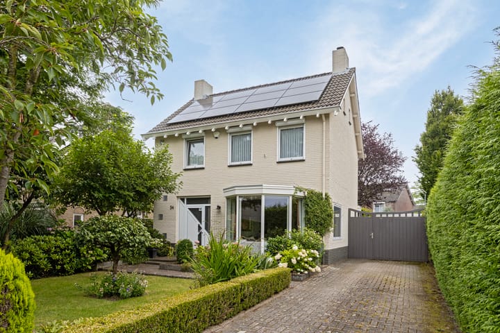 undefined main image