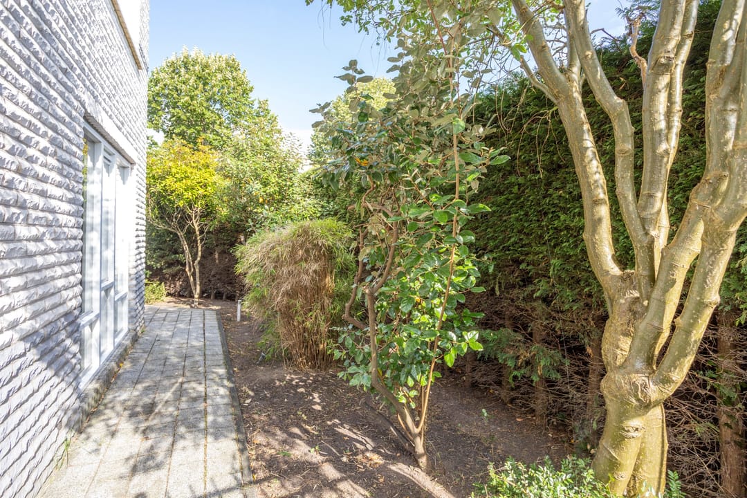 Photo 37 of Poldermolen 18