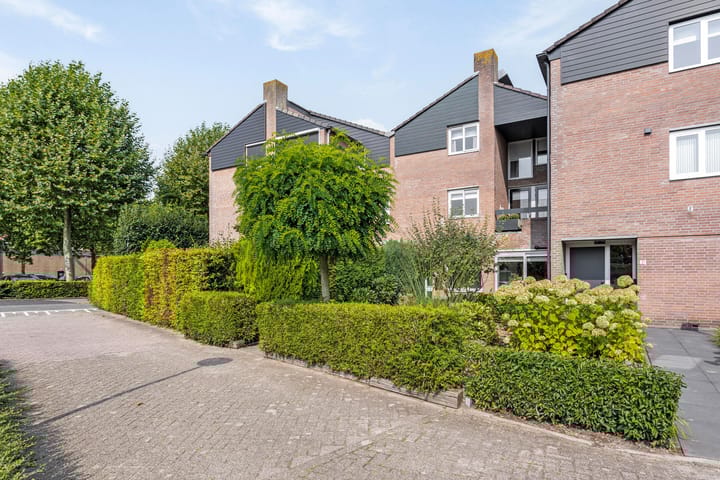 undefined main image