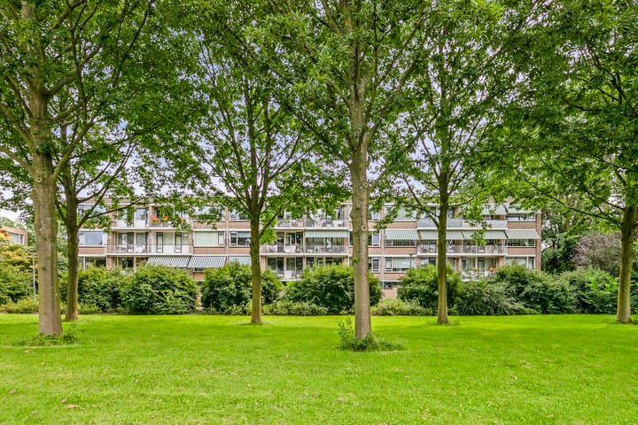 Photo 6 of Nieuwenoord 76