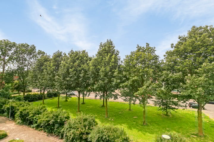 Photo 23 of Nieuwenoord 76