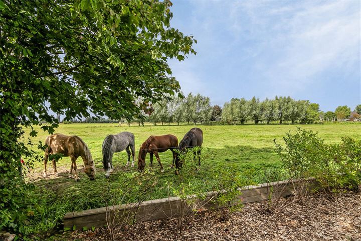 View photo 5 of Dijkhuizenweg 26