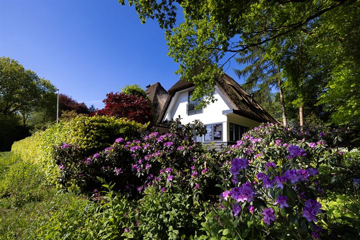 Bekijk foto 49 van Hoog Soeren 69-2