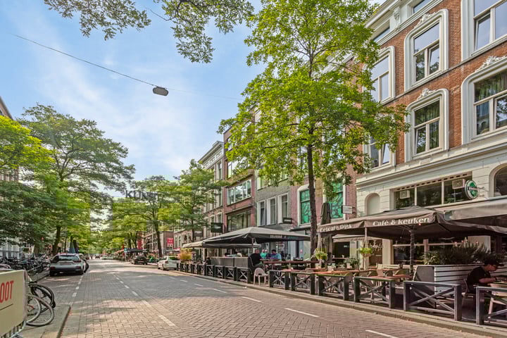 Witte de Withstraat 51 D