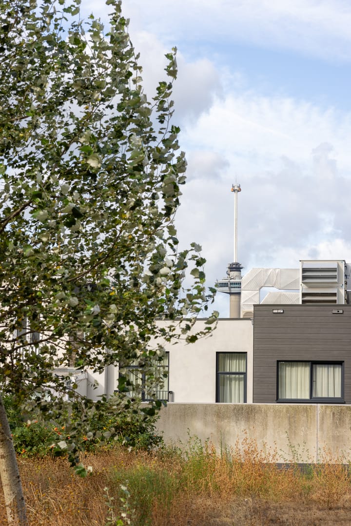 Foto 29 van Gedempte Zalmhaven 270