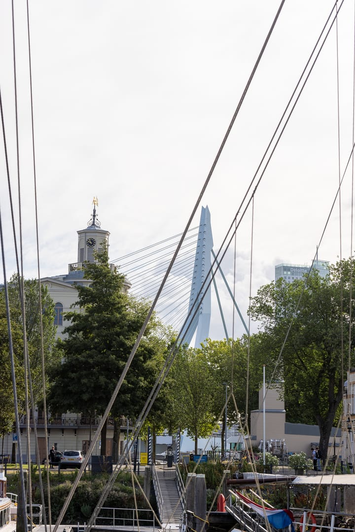 Foto 32 van Gedempte Zalmhaven 270