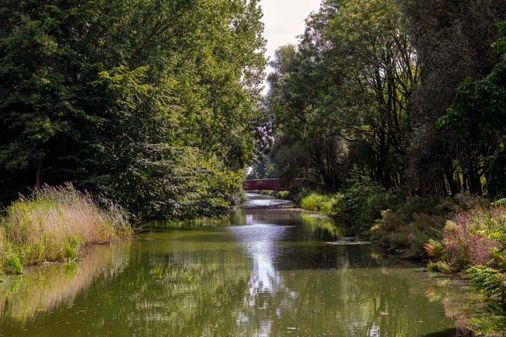 Photo 22 of Tommaso Albinonistraat 10