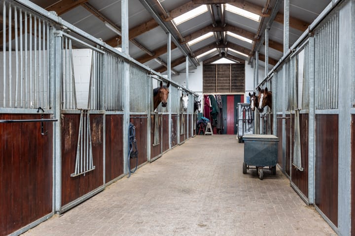 Photo 4 of Rijndijk 6