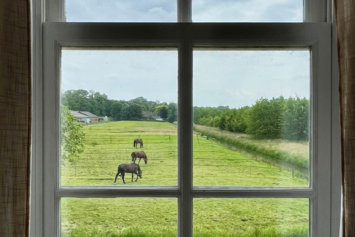 Bekijk foto 27 van Rijndijk 6