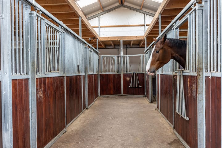 Photo 57 of Rijndijk 6