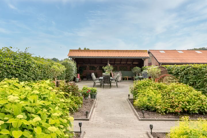 Photo 59 of Rijndijk 6