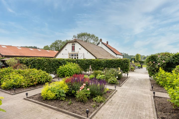 Photo 62 of Rijndijk 6