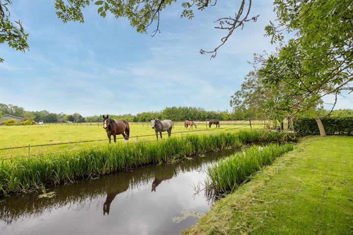 Bekijk foto 76 van Rijndijk 6