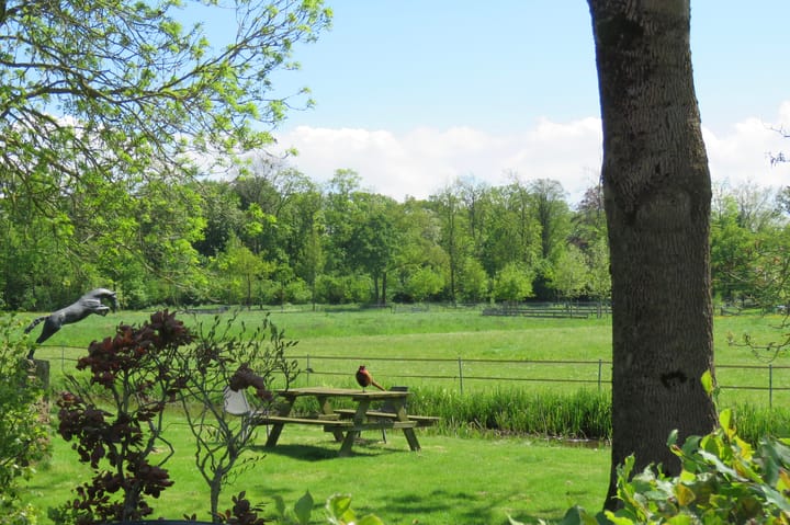 Photo 83 of Rijndijk 6