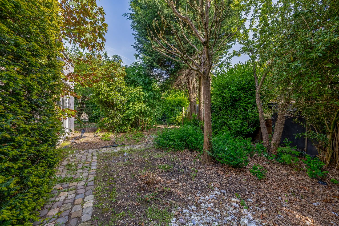 Foto 59 van Cieringstraat 1