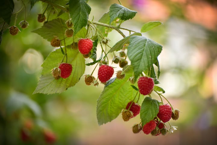 Foto 18 van Leeuwarderweg 80