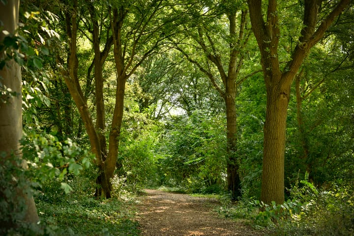 Foto 34 van Leeuwarderweg 80