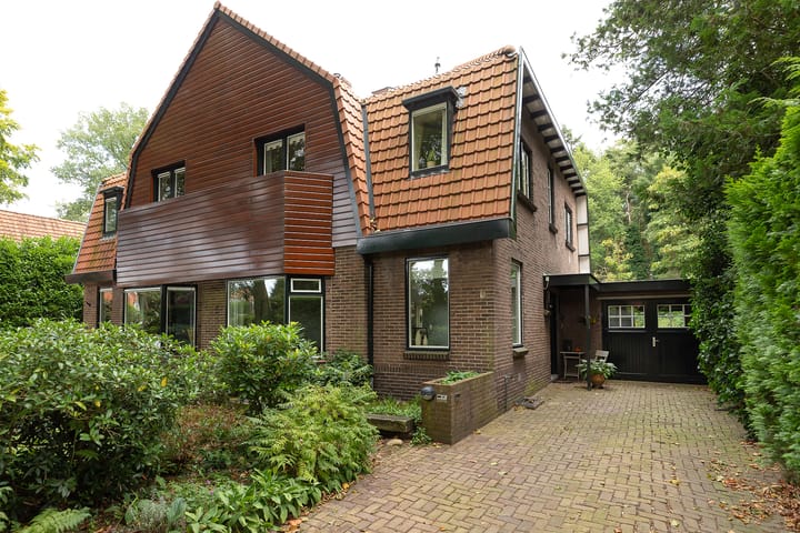 undefined main image
