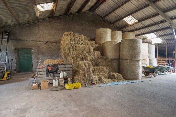 Foto 40 van Oudepolderseweg 11