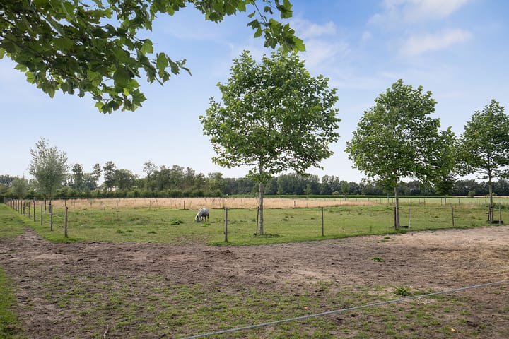 Foto 41 van Oudepolderseweg 11