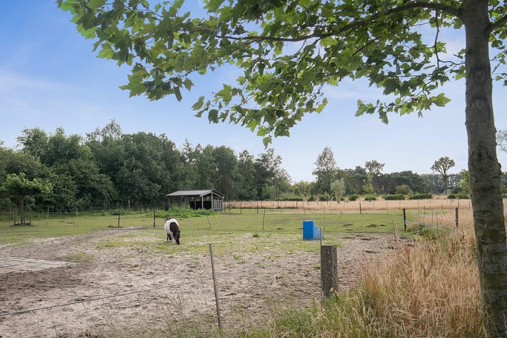 Foto 42 van Oudepolderseweg 11