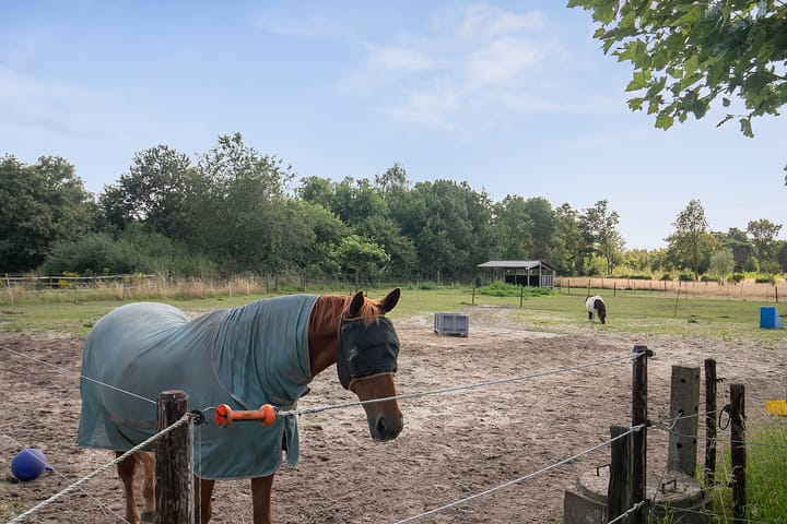 Foto 43 van Oudepolderseweg 11