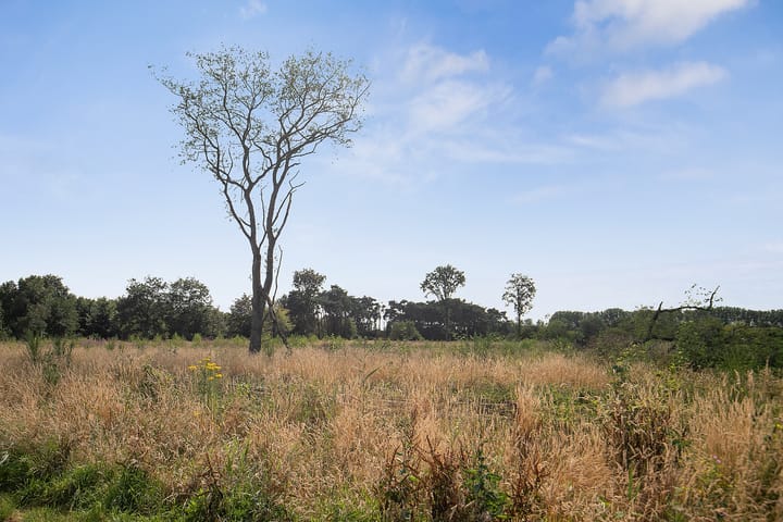 Foto 45 van Oudepolderseweg 11