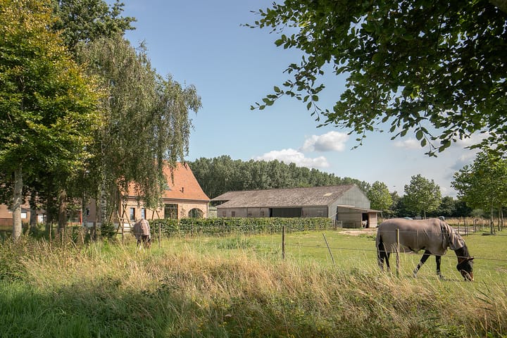 Foto 46 van Oudepolderseweg 11