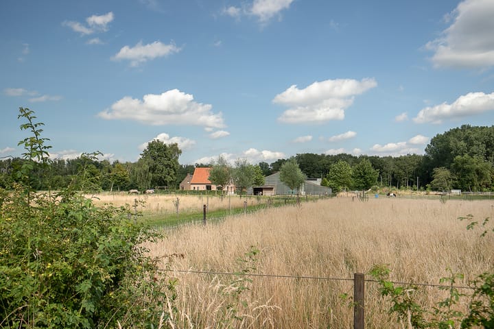 Foto 47 van Oudepolderseweg 11