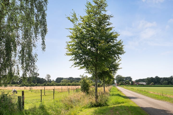 Foto 49 van Oudepolderseweg 11