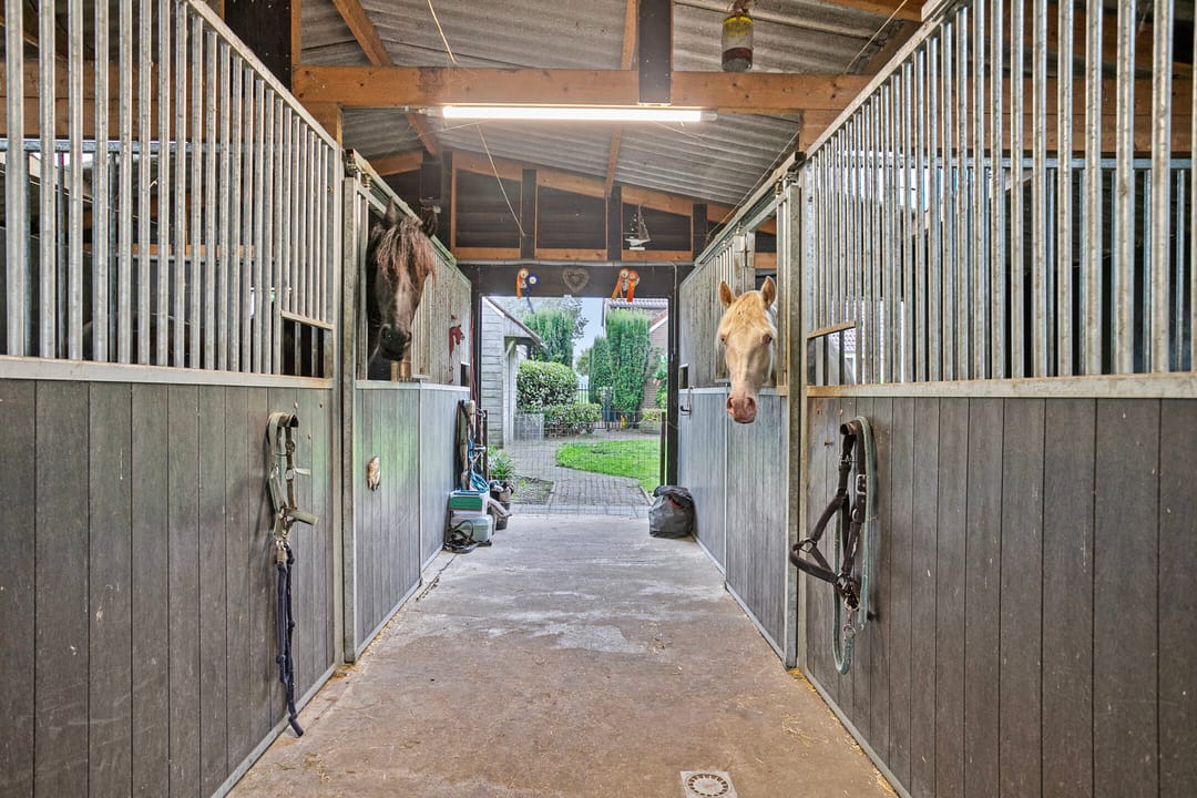 Foto 2 van Bosstraat 68