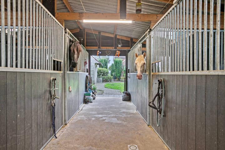 Foto 2 van Bosstraat 68