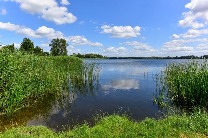 Foto 36 van Veenderij 54