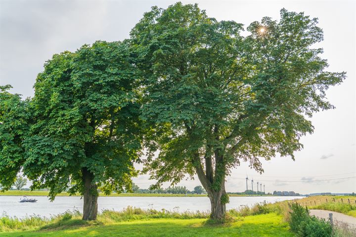 Bekijk foto 79 van Schuddebeursdijk 2