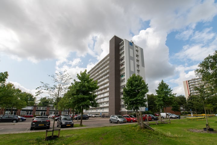 Bekijk foto 30 van Louis Raemaekersstraat 175