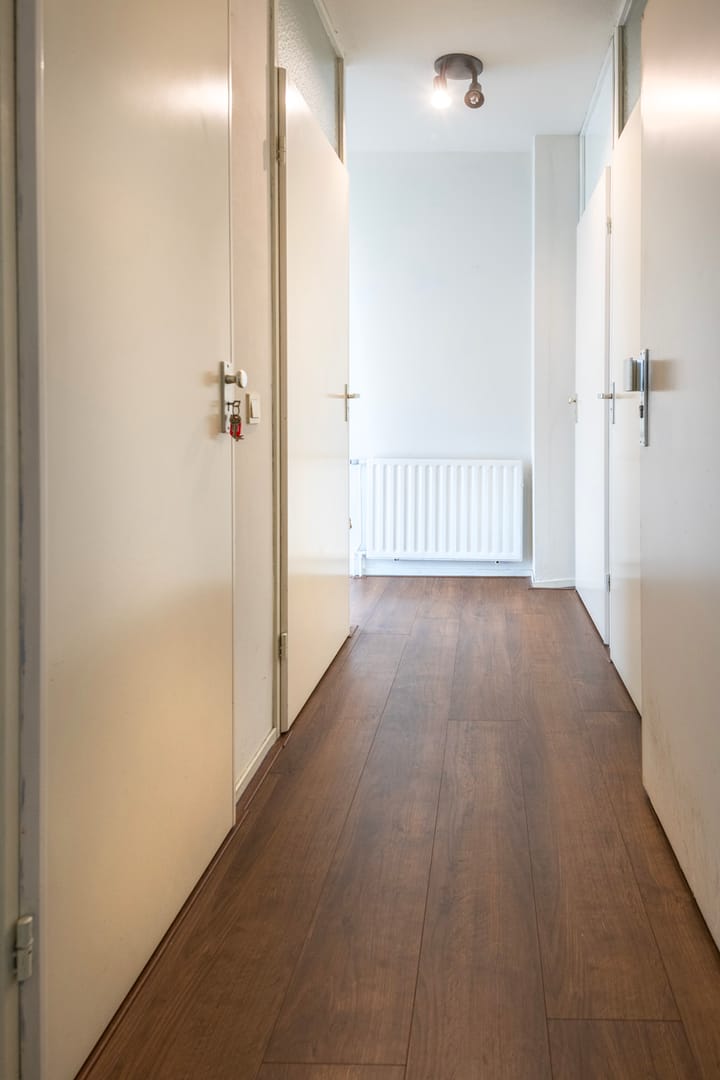 Foto 2 van Drieschstraat 44