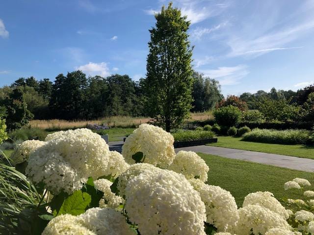 Foto 51 van Hoofdstraat 7