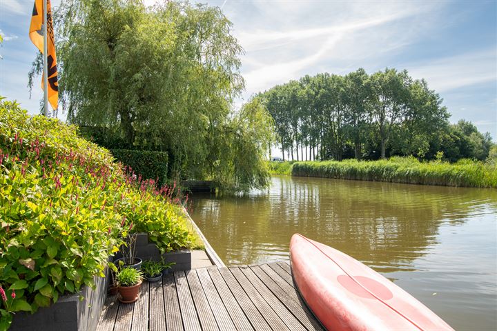 Bekijk foto 39 van Drieteenspecht 40